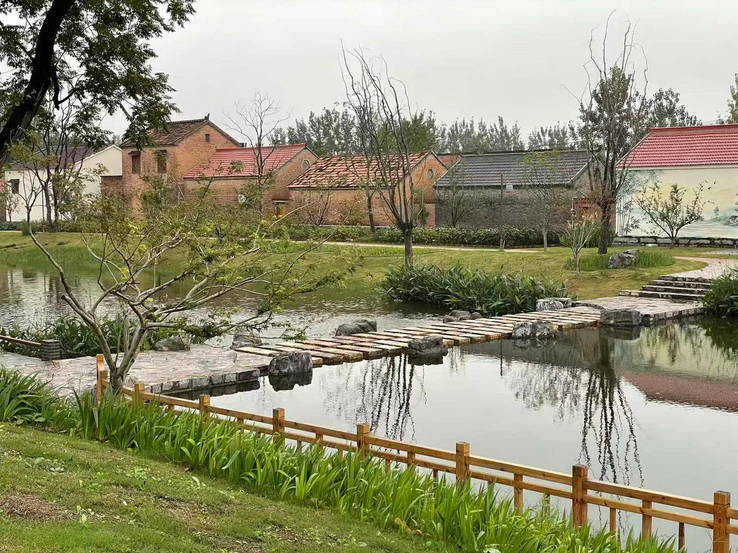 苗圩村水塘与滨水环境实景